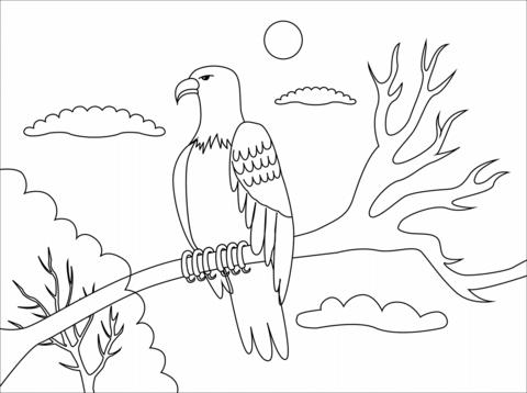 Bald Eagle Coloring Page